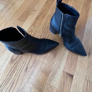 Everlane Leather Pointed Toe Ankle Booties